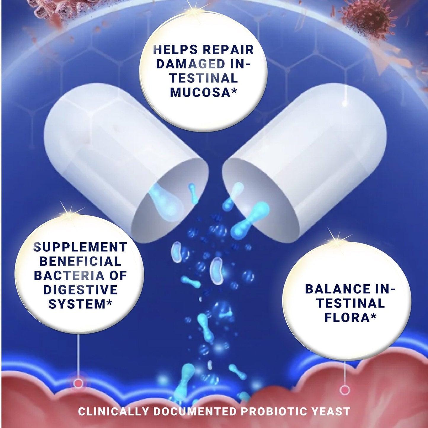 Misspep 250 mg Saccharomyces Boulardii Probiotics Plus MOS Yeast Fraction for Gut Health, 5 Billion CFU